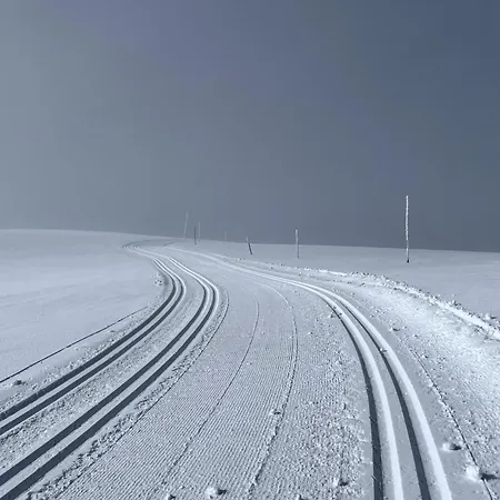 Cozy Family With Stunning Location On 別荘 *
