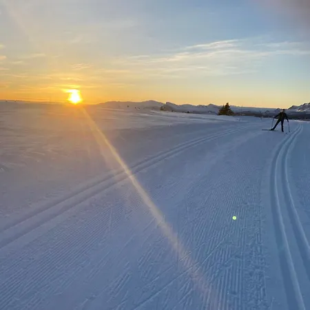 Cozy Family With Stunning Location On Hébergement de vacances Golsfjellet