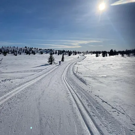 Cozy Family With Stunning Location On 別荘 Golsfjellet