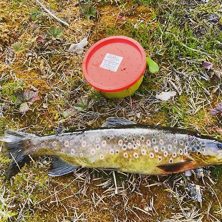 別荘 Cozy Family With Stunning Location On *