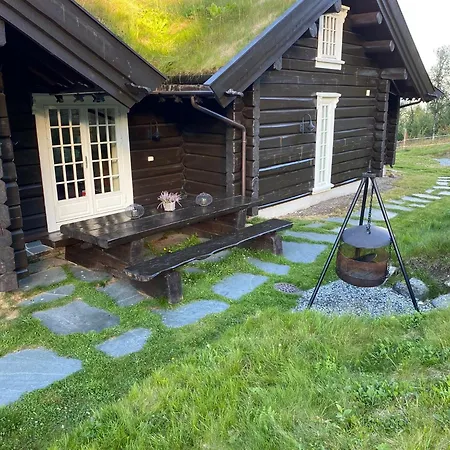 Cozy Family With Stunning Location On Golsfjellet