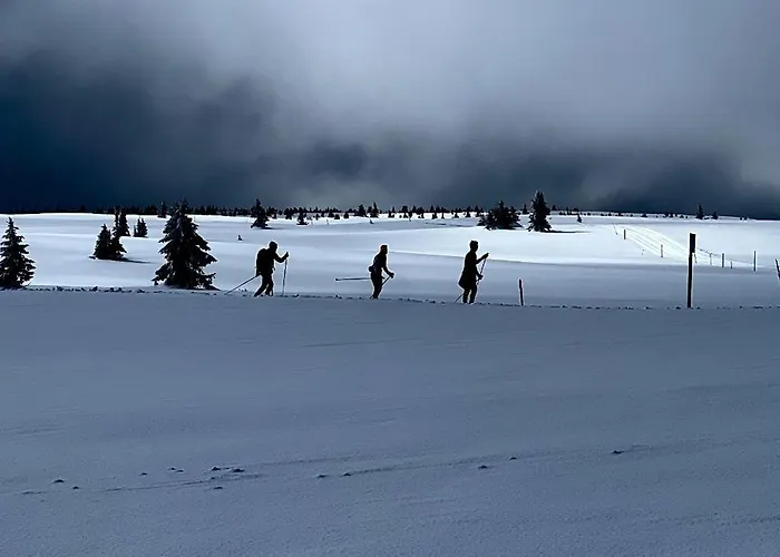 Cozy Family With Stunning Location On Golsfjellet