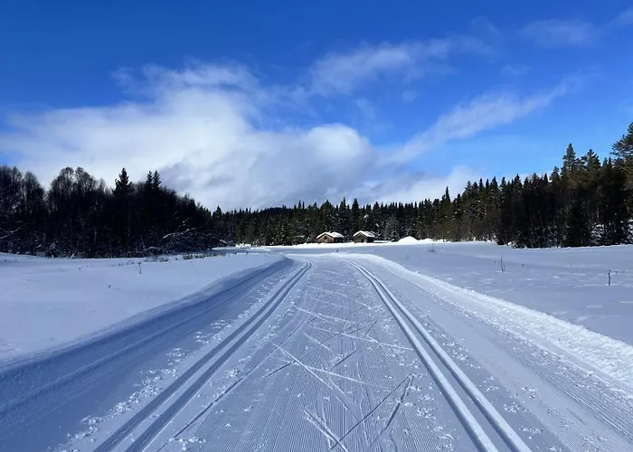 Сasa de vacaciones Cozy Family With Stunning Location On Golsfjellet