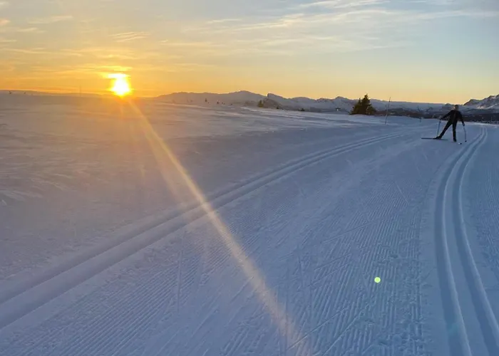 Cozy Family With Stunning Location On Ferienhaus Golsfjellet