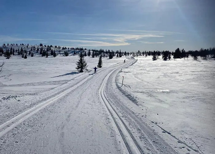 Cozy Family With Stunning Location On Ferienhaus Golsfjellet
